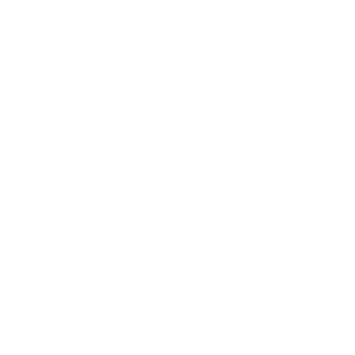 Momentum Training Solutions Logo