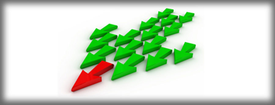 Momentum Training Solutions Brochure