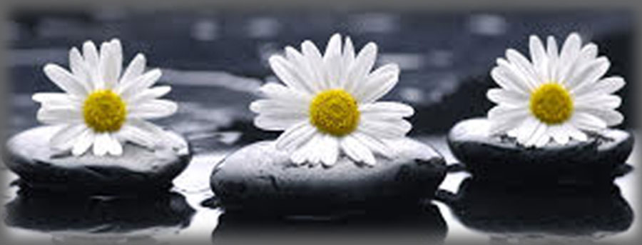 Personal Effectiveness Training