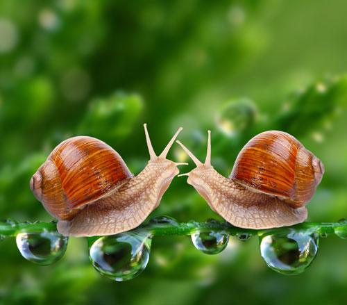 Communication skills training programs